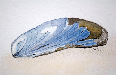 Mussell - SOLD